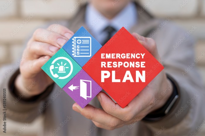 Emergency home security services