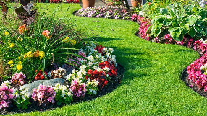 How to Choose the Perfect Plants for Your Landscape Design - Jonathan ...