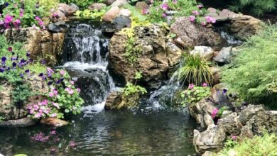 Koi Pond Construction | Water Feature Southern California