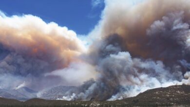 Solitary dog sculptor: NASA: USA - California - Mountain Fire - It is ...