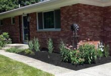 Top 10 Local Mulching Services near you | Airtasker US