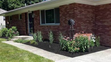 Top 10 Local Mulching Services near you | Airtasker US