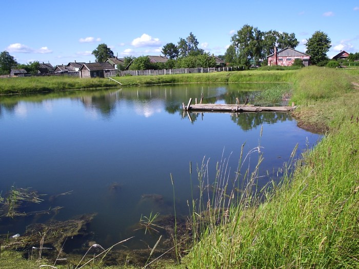 Pond installation
