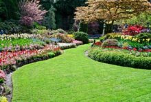 Landscaping services