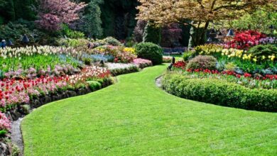 Landscaping services