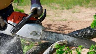 Hardscaping services