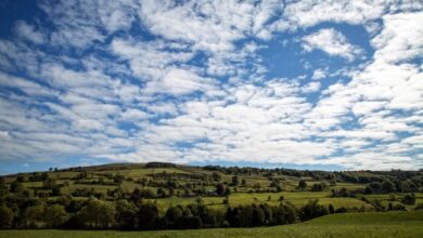 Landscape Free Stock Photo - Public Domain Pictures