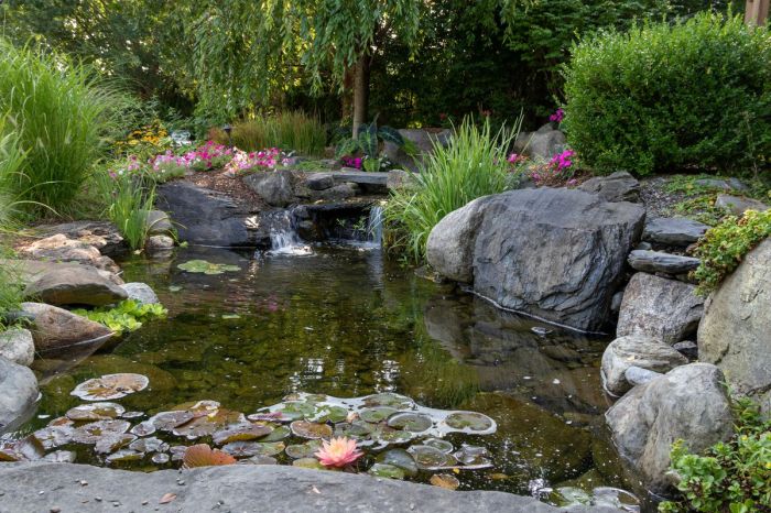 Pond installation