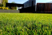 5 Tips on Preventing Lawn Burn for Homeowners in Orlando, FL | PLOWZ ...