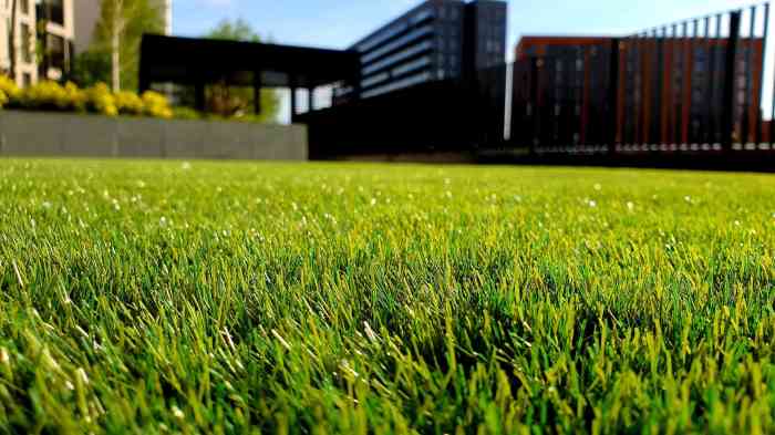 5 Tips on Preventing Lawn Burn for Homeowners in Orlando, FL | PLOWZ ...