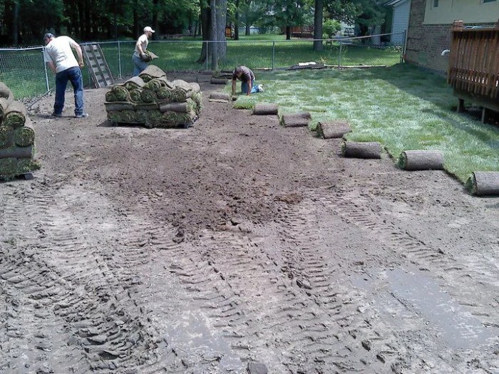 Sod Installation - Andrew's Property Maintenance, LLC