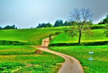 Summer Landscape Free Stock Photo - Public Domain Pictures