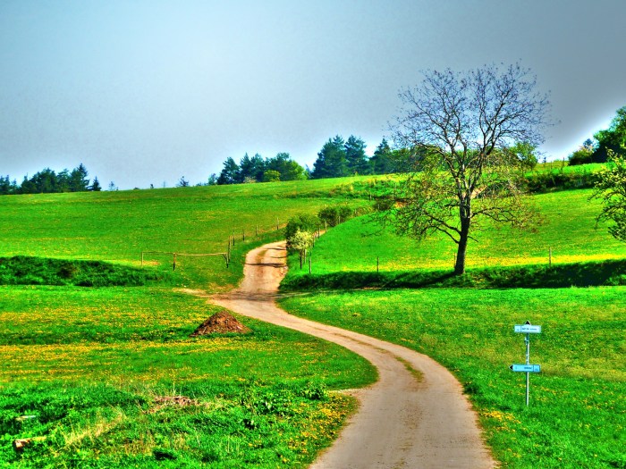 Summer Landscape Free Stock Photo - Public Domain Pictures